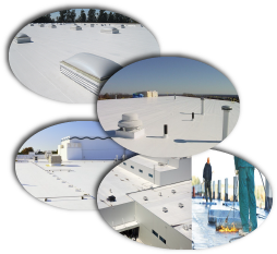 Roosevelt Roofing Images