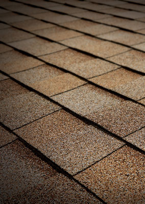 Roosevelt Roofing Images