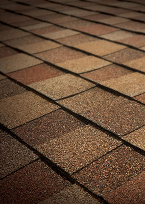 Roosevelt Roofing Images