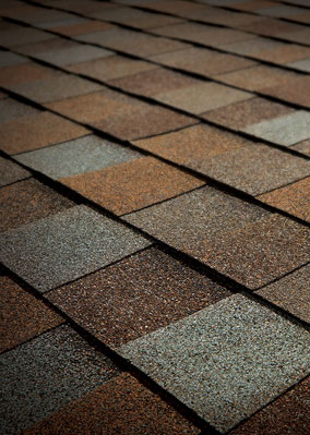Roosevelt Roofing Images