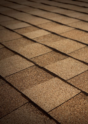 Roosevelt Roofing Images
