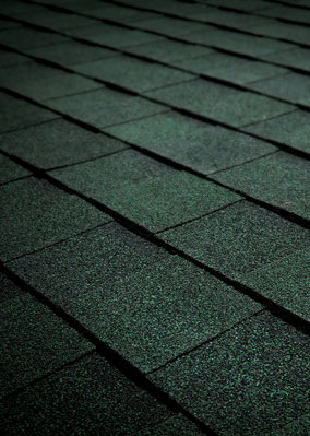 Roosevelt Roofing Images