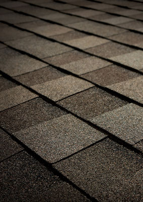 Roosevelt Roofing Images